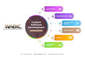 custom software development