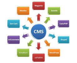 cms web development company