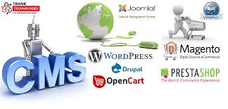 cms website development services