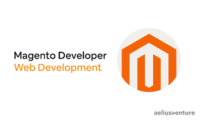 magento web developer