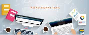 website development agency