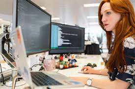 software developer