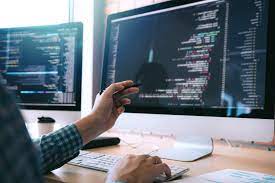 software dev