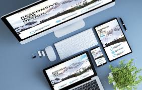 professional web development services
