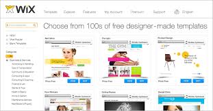 wix website developer