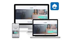 drupal web design