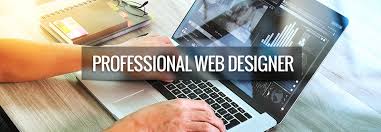 professional web developer