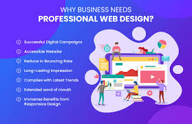 professional website development
